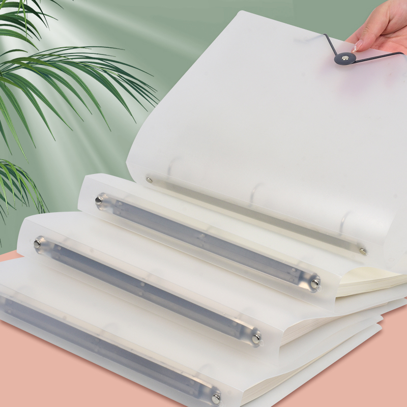 Binder Storage Box - 3 adet buzlu şeffaf A4 gevşek
