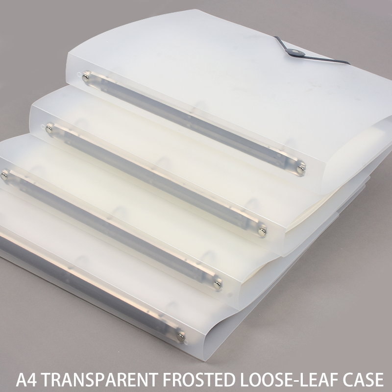 3 adet buzlu şeffaf A4 gevşek  - Binder Storage Box incelemesi ve fiyatı